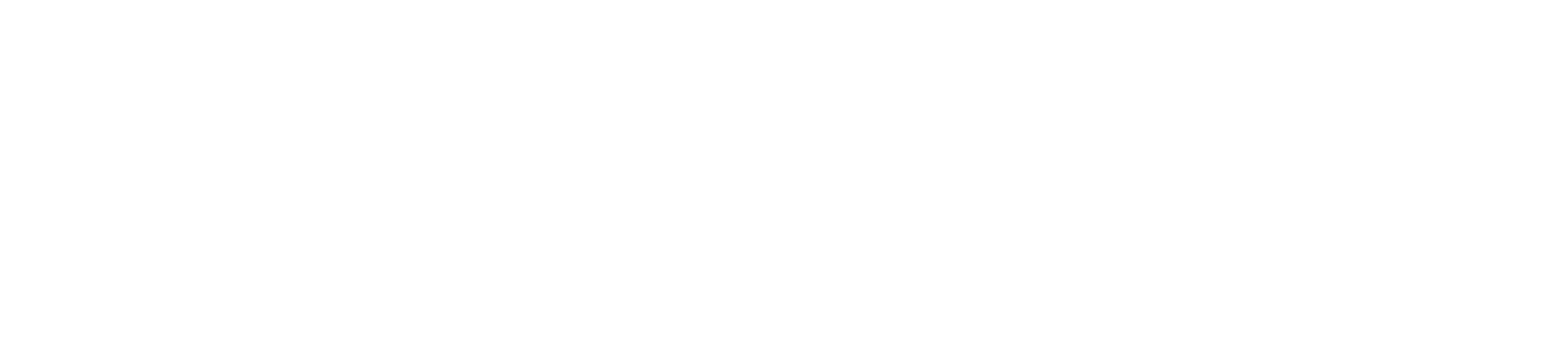 VISCOM_Logo_Negativ